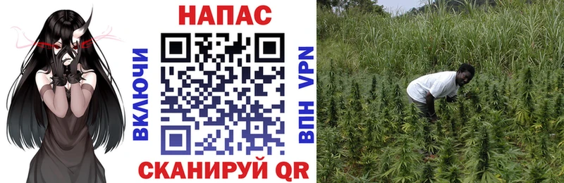 МАРИХУАНА LSD WEED  Аркадак 